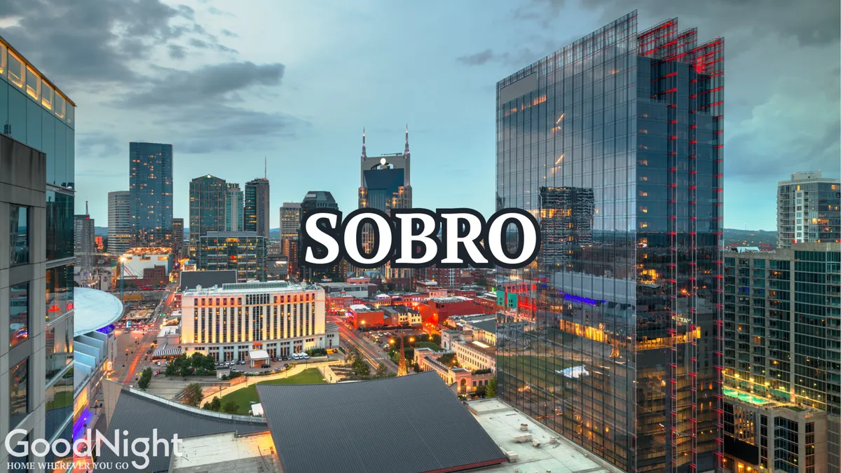 A sweeping nighttime view of the Nashville city skyline, with illuminated buildings sparkling against the evening sky and the meandering river or road below, capturing the city's vibrant nightlife energy.