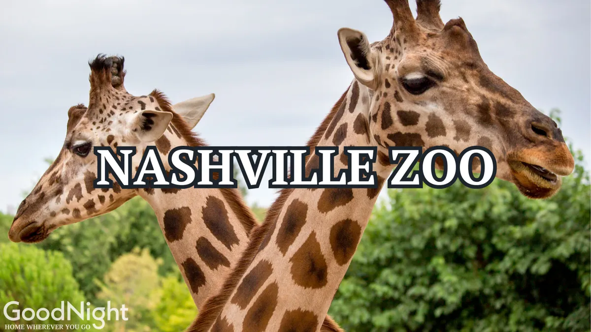 A close-up view of giraffes amidst lush greenery, capturing the excitement of animal encounters during a family outing at the zoo. The joyful mood and vibrant setting reinforce the appeal of nearby attractions.